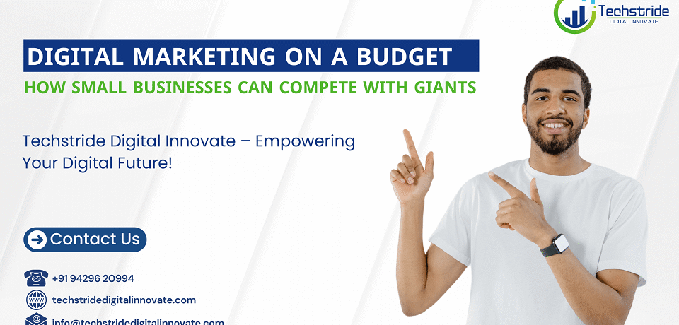 digital marketing on a budget how small businesses can compete with giants